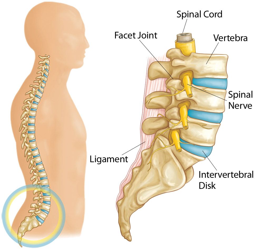 Spine Problems / Disc Issues | Best Neurology specialist in Hyderabad | Dr. Soumya Reddy | Canes Cardio & Neuro Clinic Kondapur