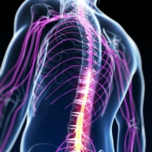 Neuromuscular Disorders Treatment in Kondapur - Dr Soumya Neurologist - CANES Clinic