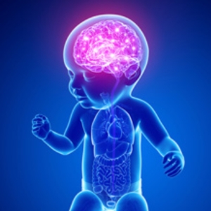 Pediatric Neurology Treatment in Kondapur - Dr Soumya Neurologist - CANES Clinic